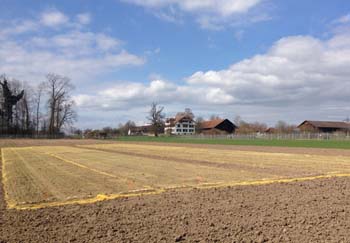 140319reckenholz