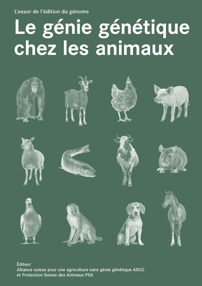 front rapport