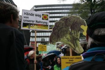 bild_demo
