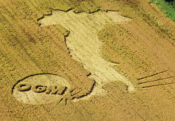 130717italia