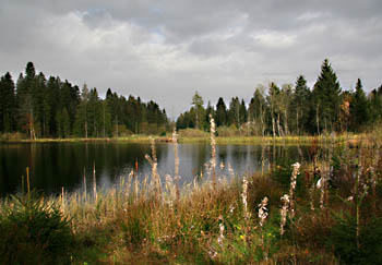 130725etang royes