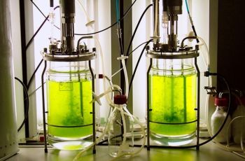 bild_biotech